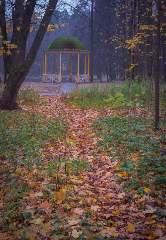 В парке ноябрь фото превью