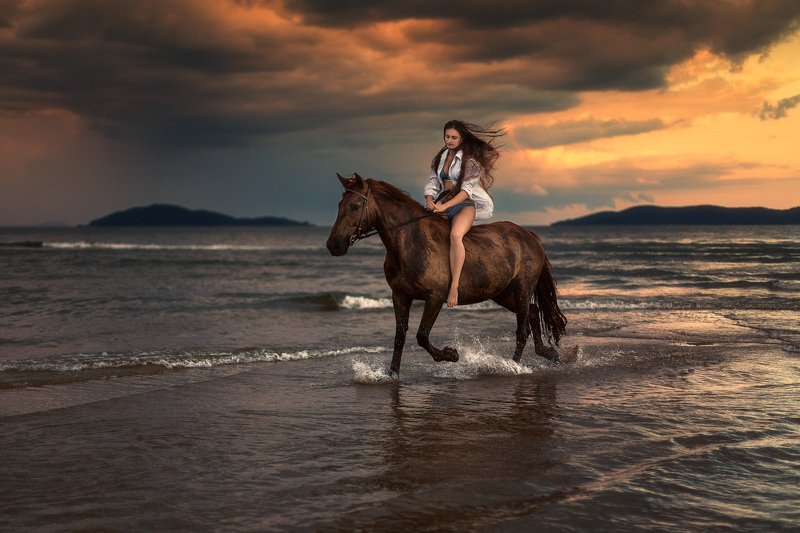 вечер, лошадь, девушка *** фото превью