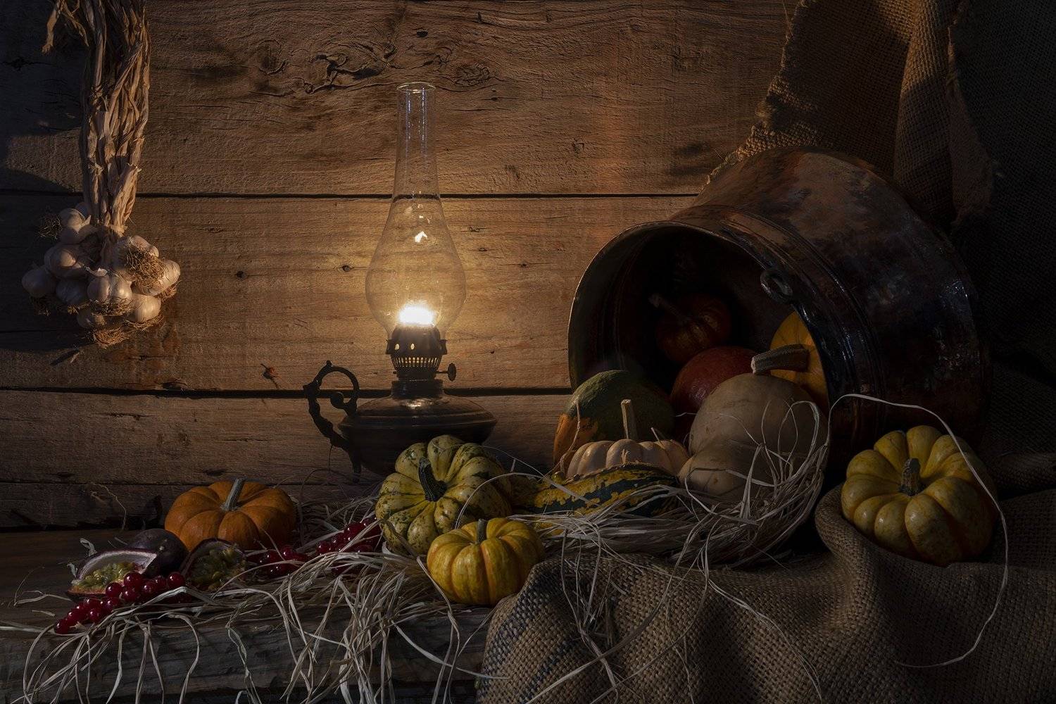 натюрморт тыква облепиха Pumpkin, FATIH GONUL