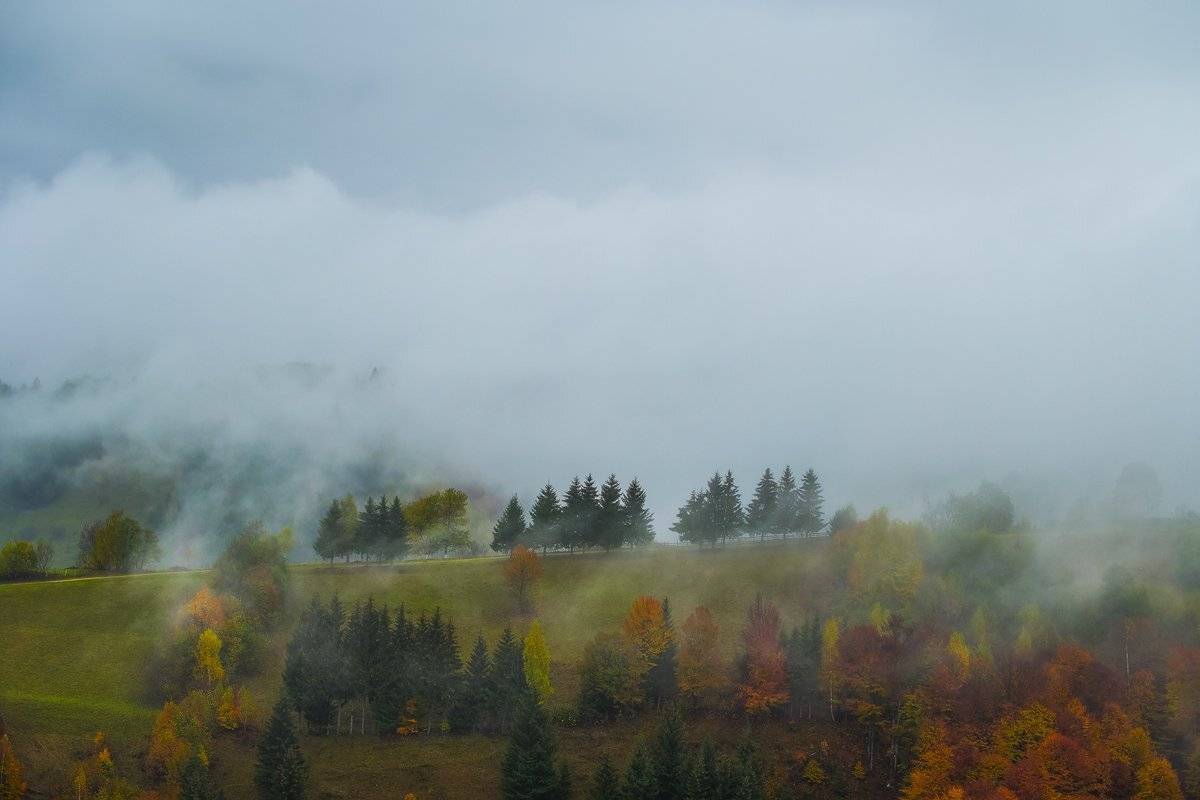 , Stefan Chirobocea