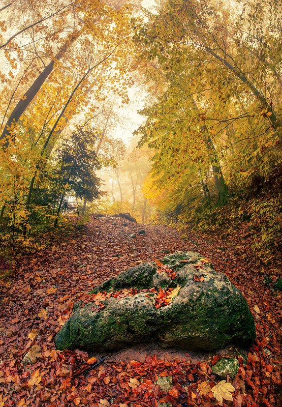 Autumn фото превью