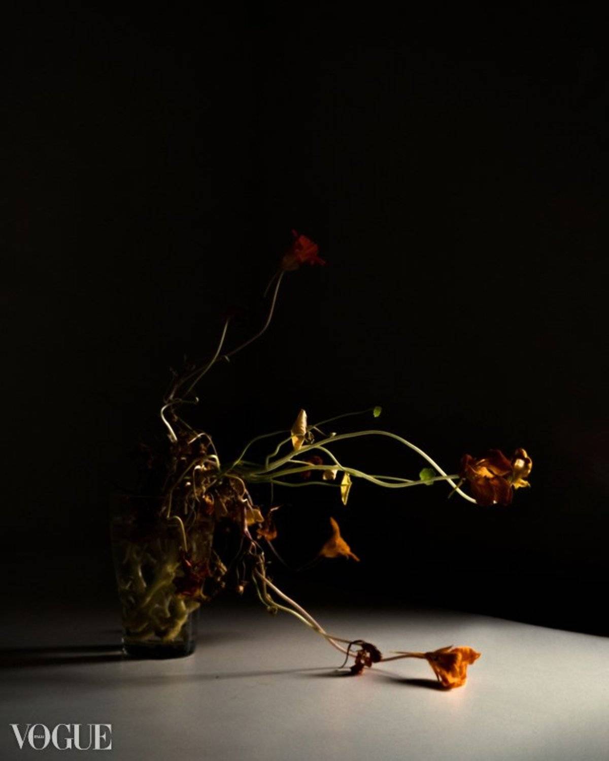 , Ольга Матвеева