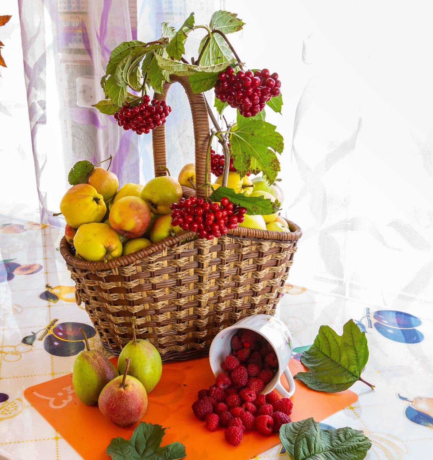 , Александр Максин