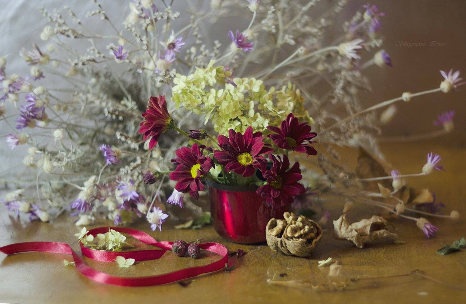 , Шипунова Ирина