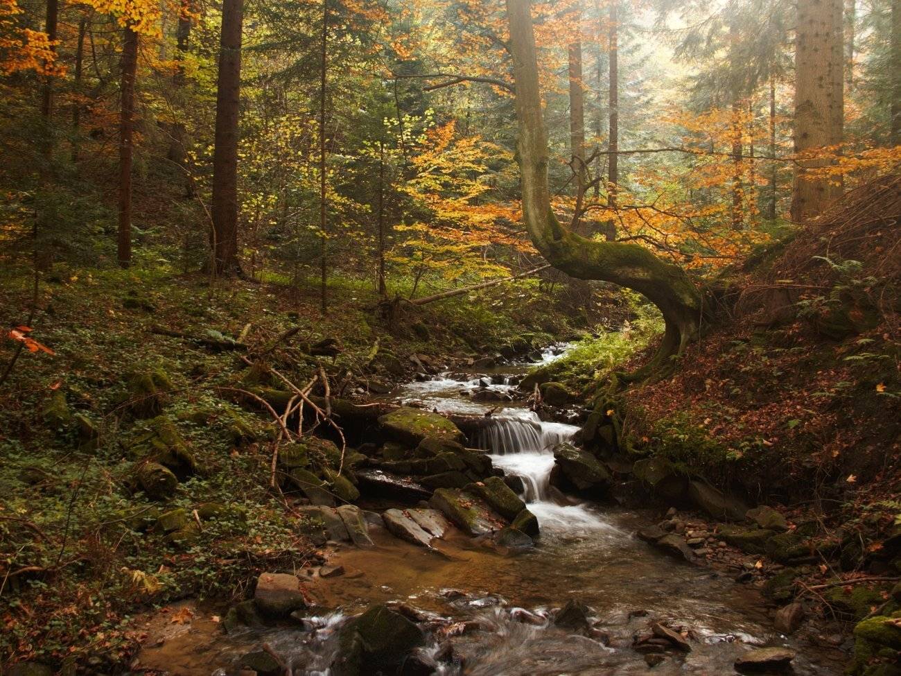 , Krzysztof Tomasiak