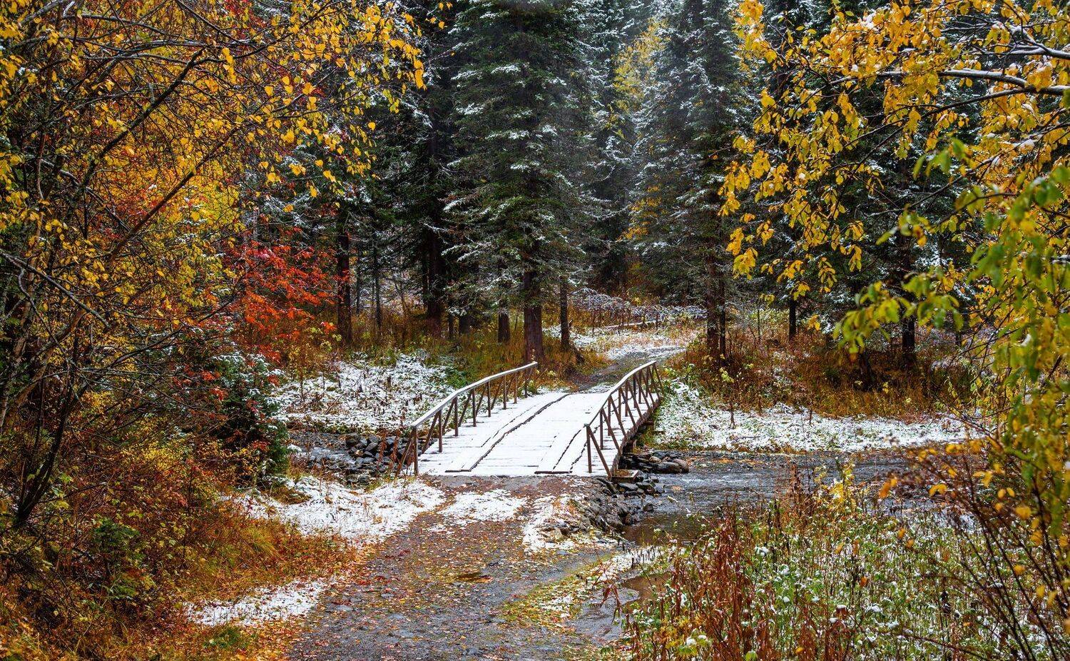 алтай. осень. горы., Евгений Дроботенко