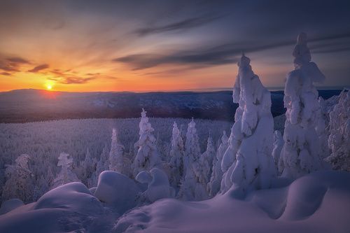 В ожидании рассвета