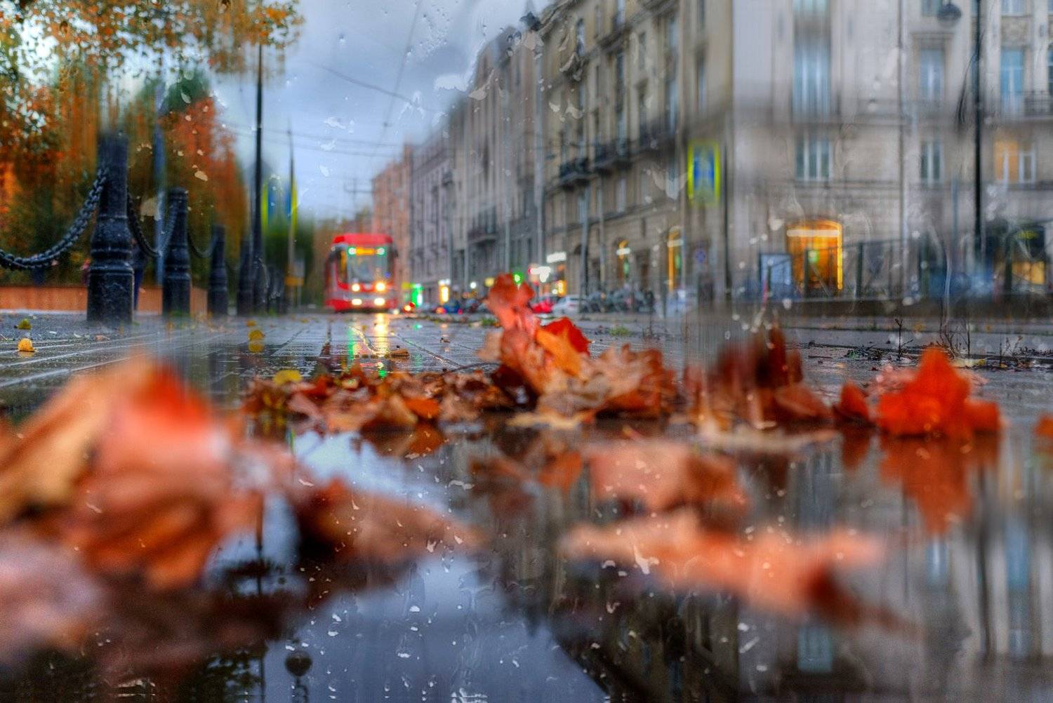 , Эдуард Гордеев