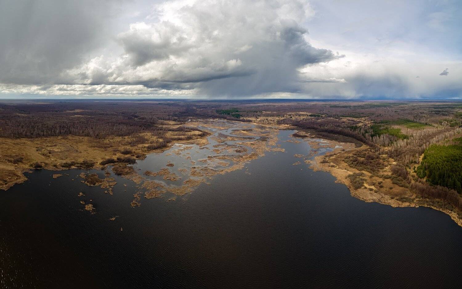 , Сергей Сергеев