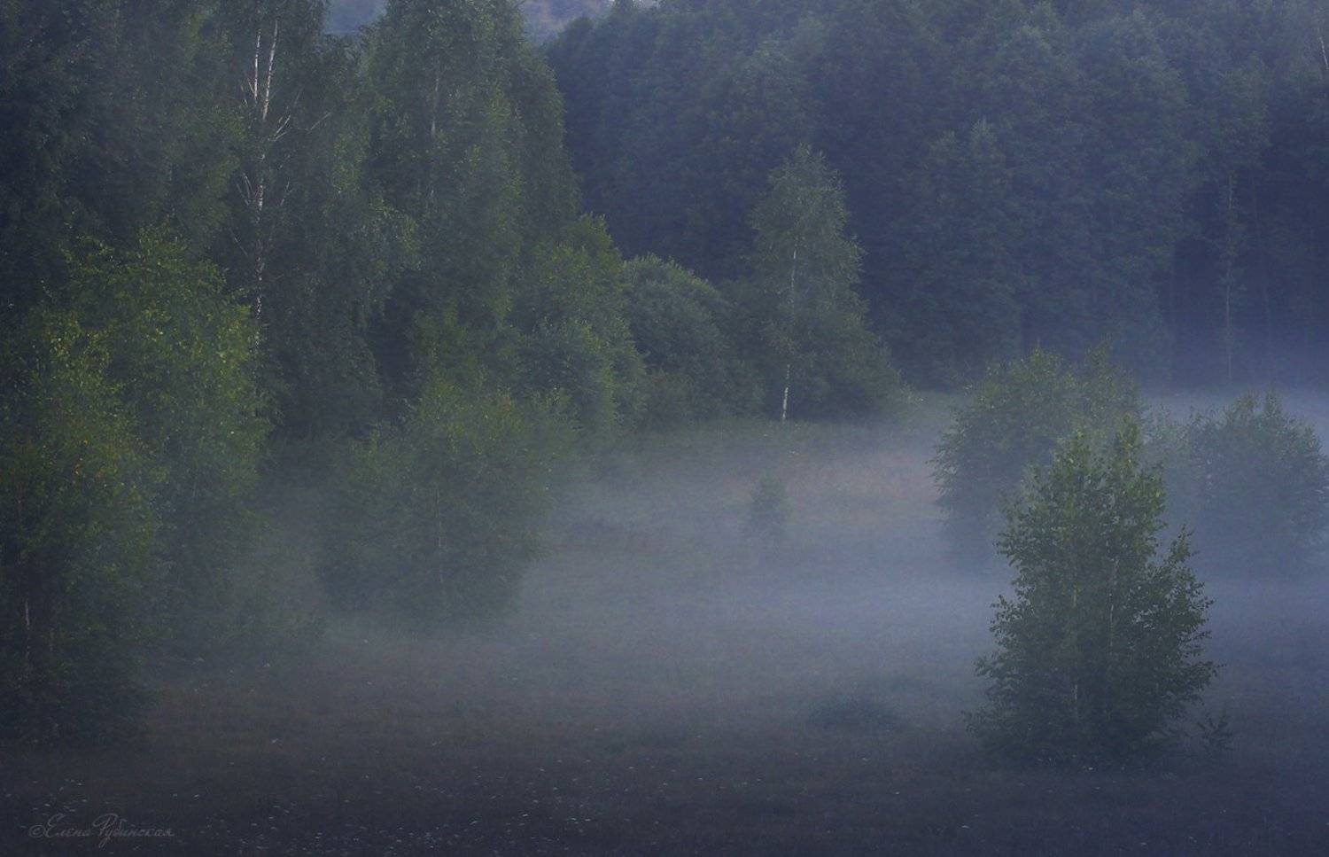 , Елена Рубинская