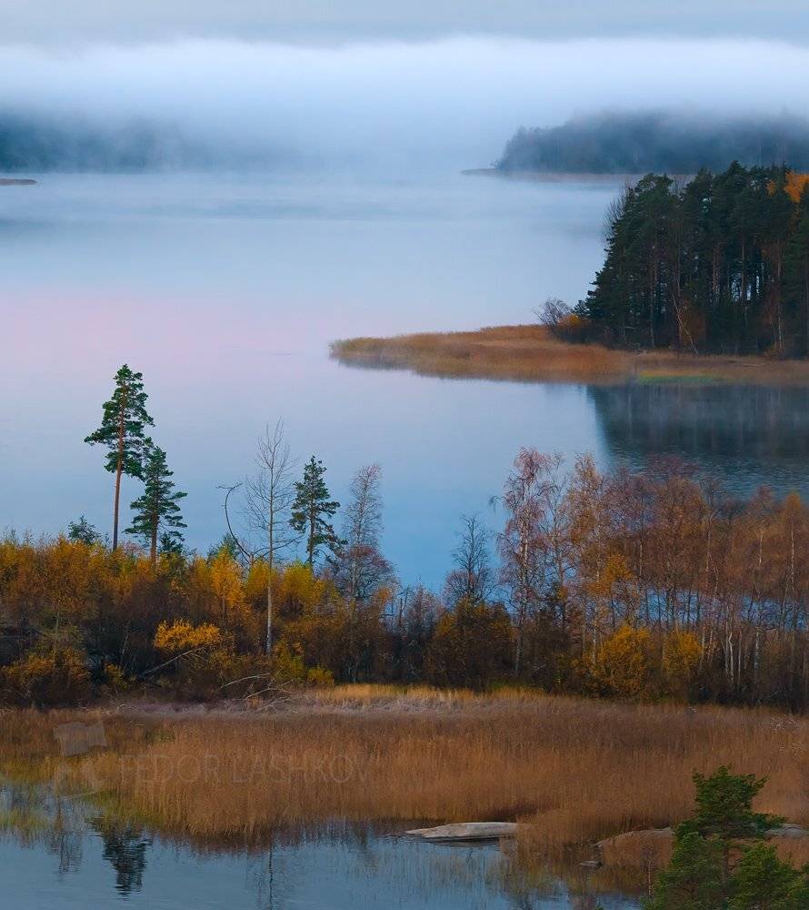 ладожское озеро, карелия, шхеры, осень, остров, гранит, вода, сосна, дерево, берег, рассвет, заря, туман, осенний,, Лашков Фёдор
