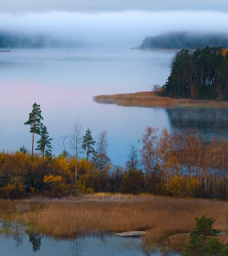 Тишина туманного утра