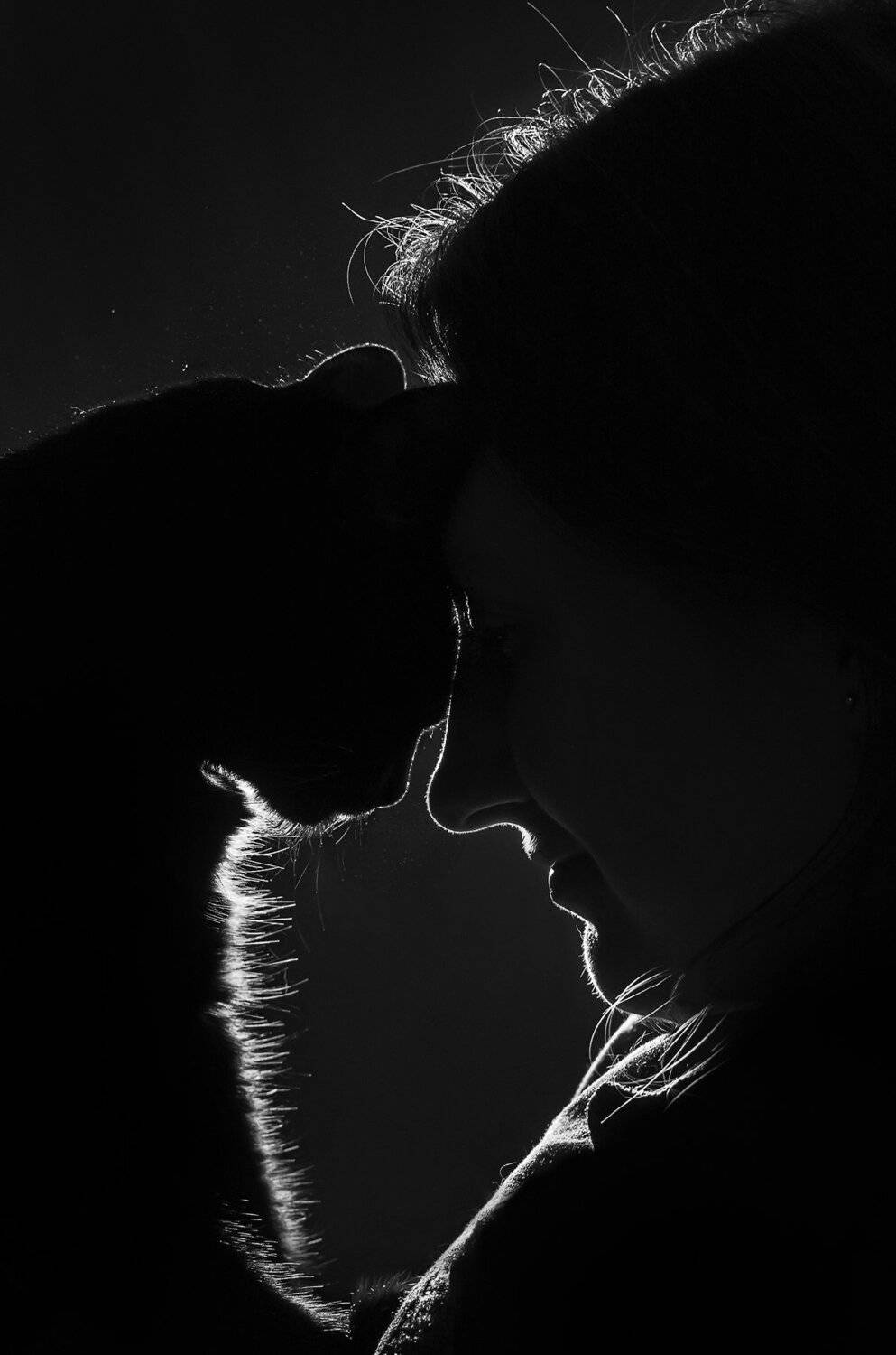 контурный свет,тёмный,кошка,девушка,портрет,силуэт,дружба, Владимир Володин