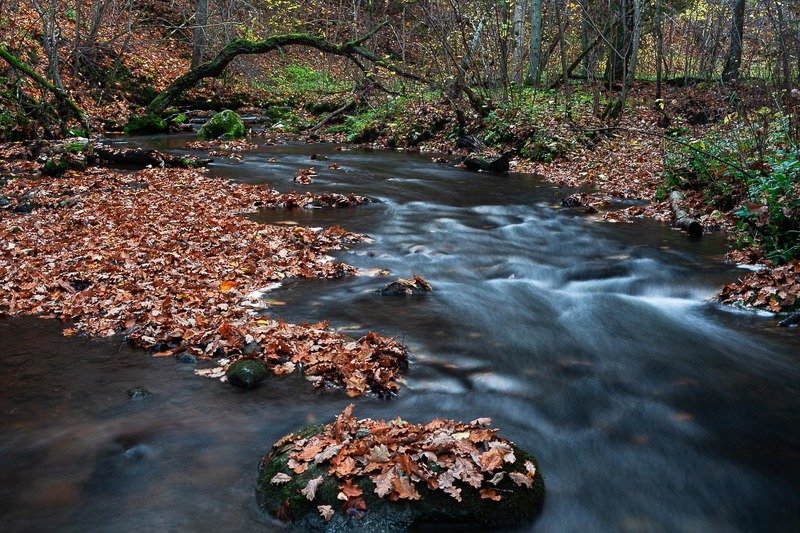 Autumn in river фото превью