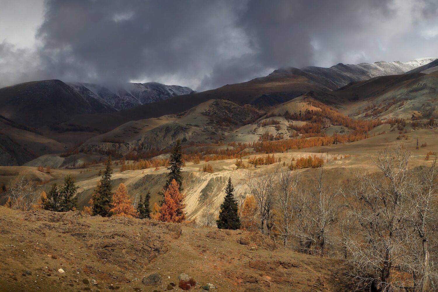 , Евгений Зинов