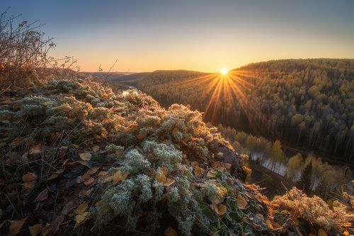 Луч солнца золотого