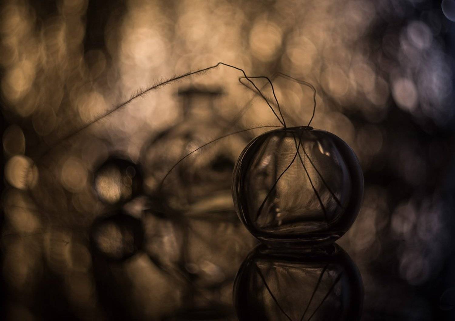 , Евгений Попов