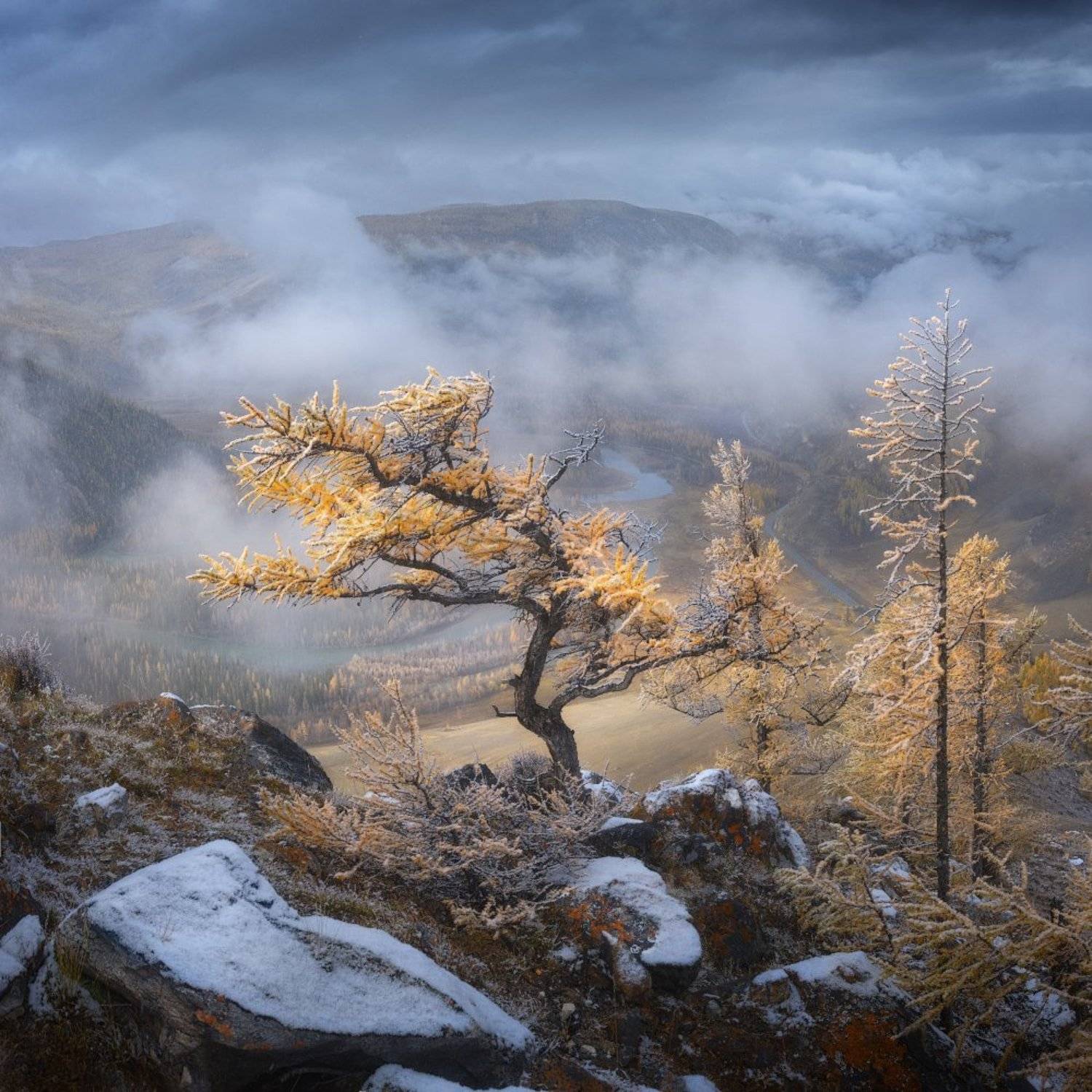 алтай, осень, туман, Дмитрий Медянцев