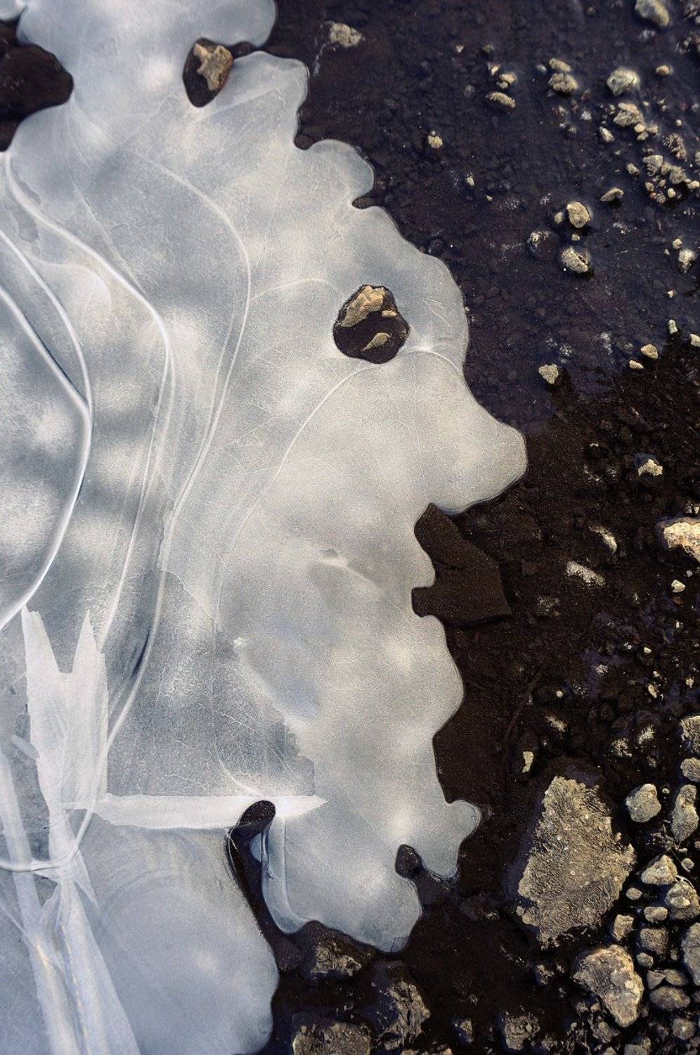 pareidolia, фото-арт, абстракция, образ, минимализм, улица, , парейдолия, лёд, ПОЛУЕВ ИЛЬЯ