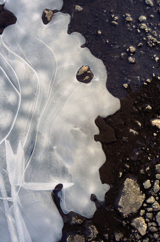 pareidolia, фото-арт, абстракция, образ, минимализм, улица, , парейдолия, лёд *** фото превью