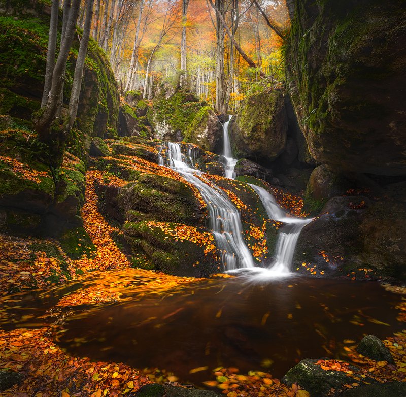 Fall фото превью