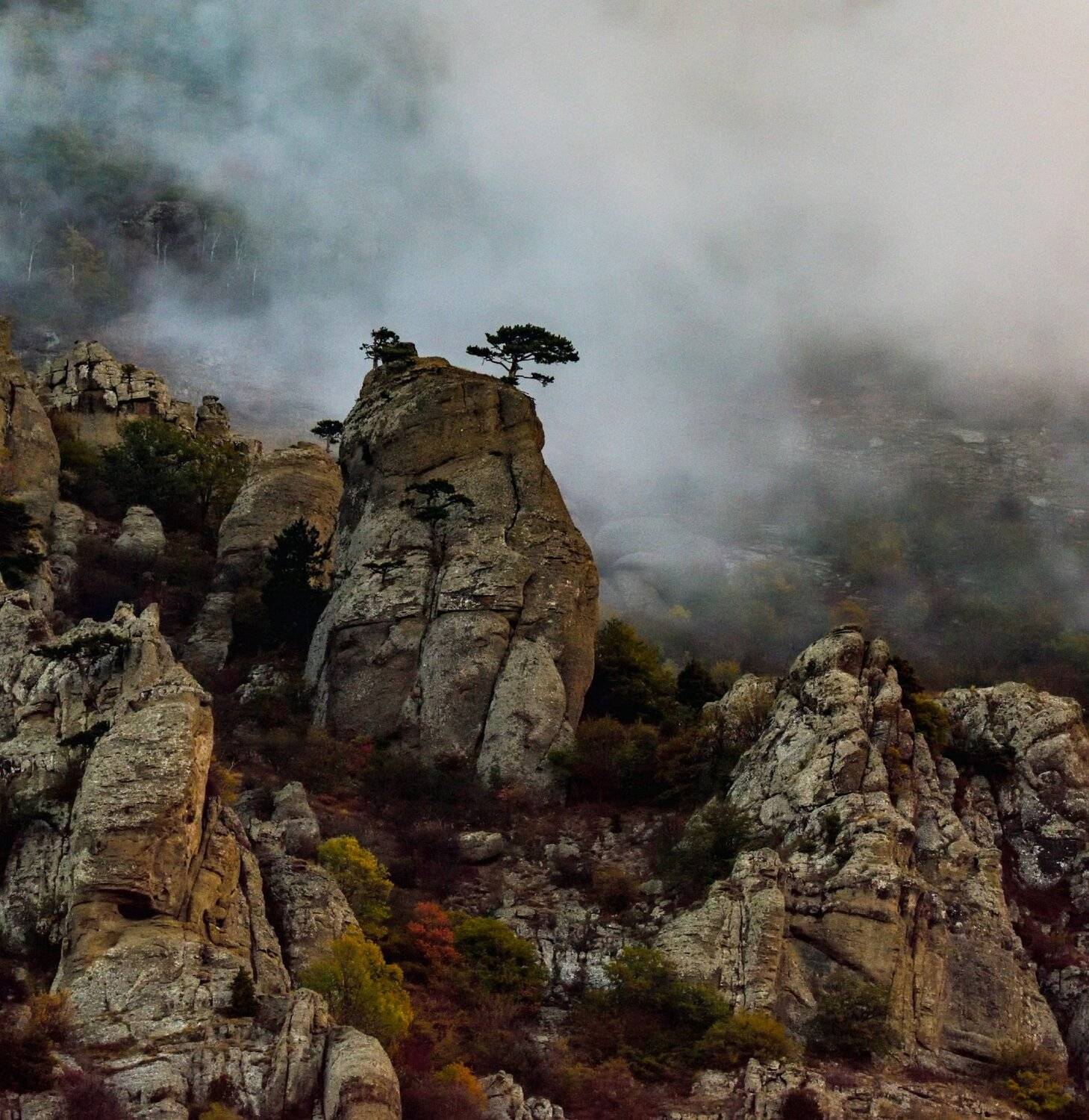 пейзаж, туман, демерджи, крым, Karasev Pavel