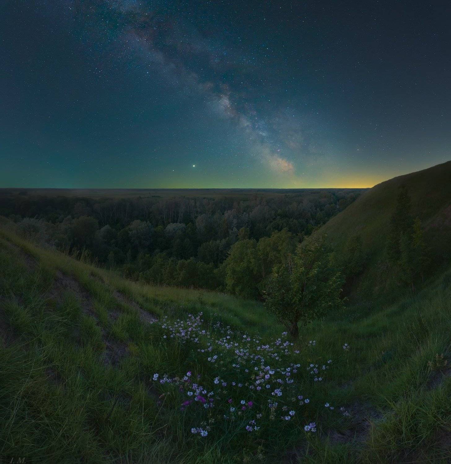 ночная фотография, млечный путь, звезды, ночной пейзаж, ночь, лето, июнь, атмосферное свечение, панорама, цветы, холм, долина реки, Псел, пейзаж, Украина, ночное небо, night photography, night sky, stars, milky way, galaxy, nightscape, valley, river, Psel, Ivan Maljarenko 