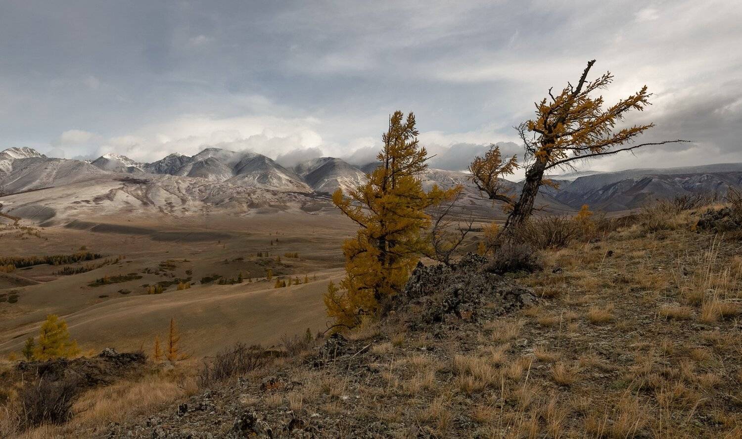 алтай.северо-чуйский хребет., сентябрь 2020, Марина Фомина