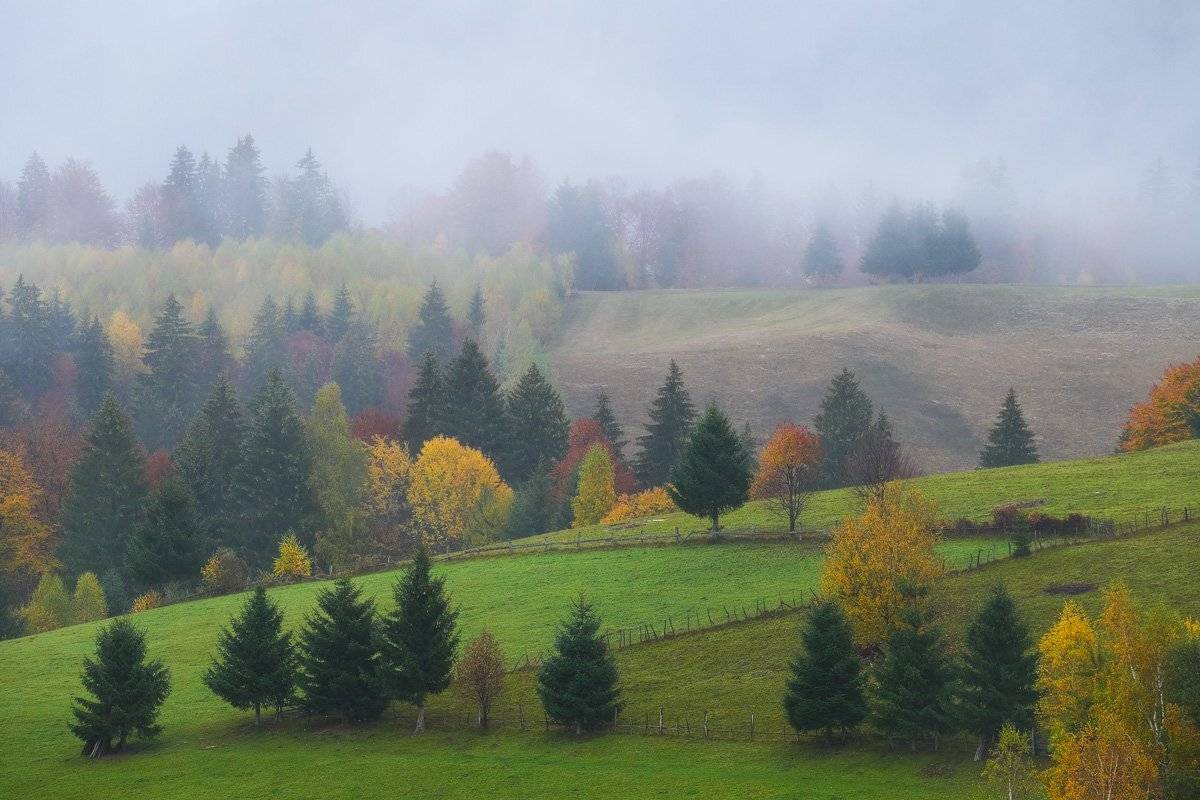 , Stefan Chirobocea