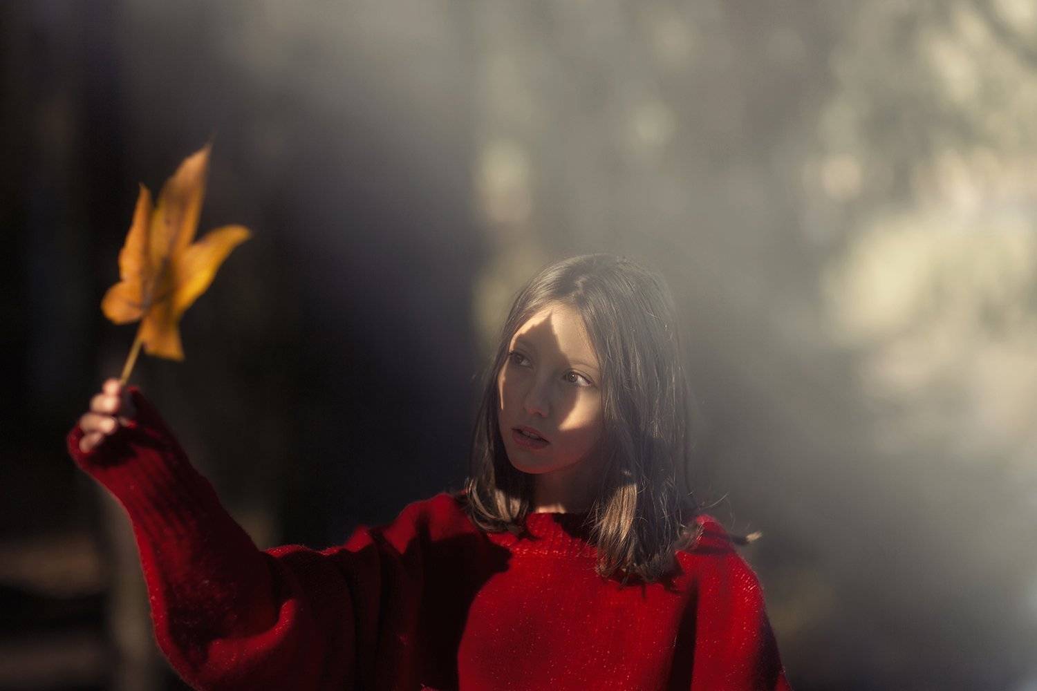 , Desislava Kuleshova