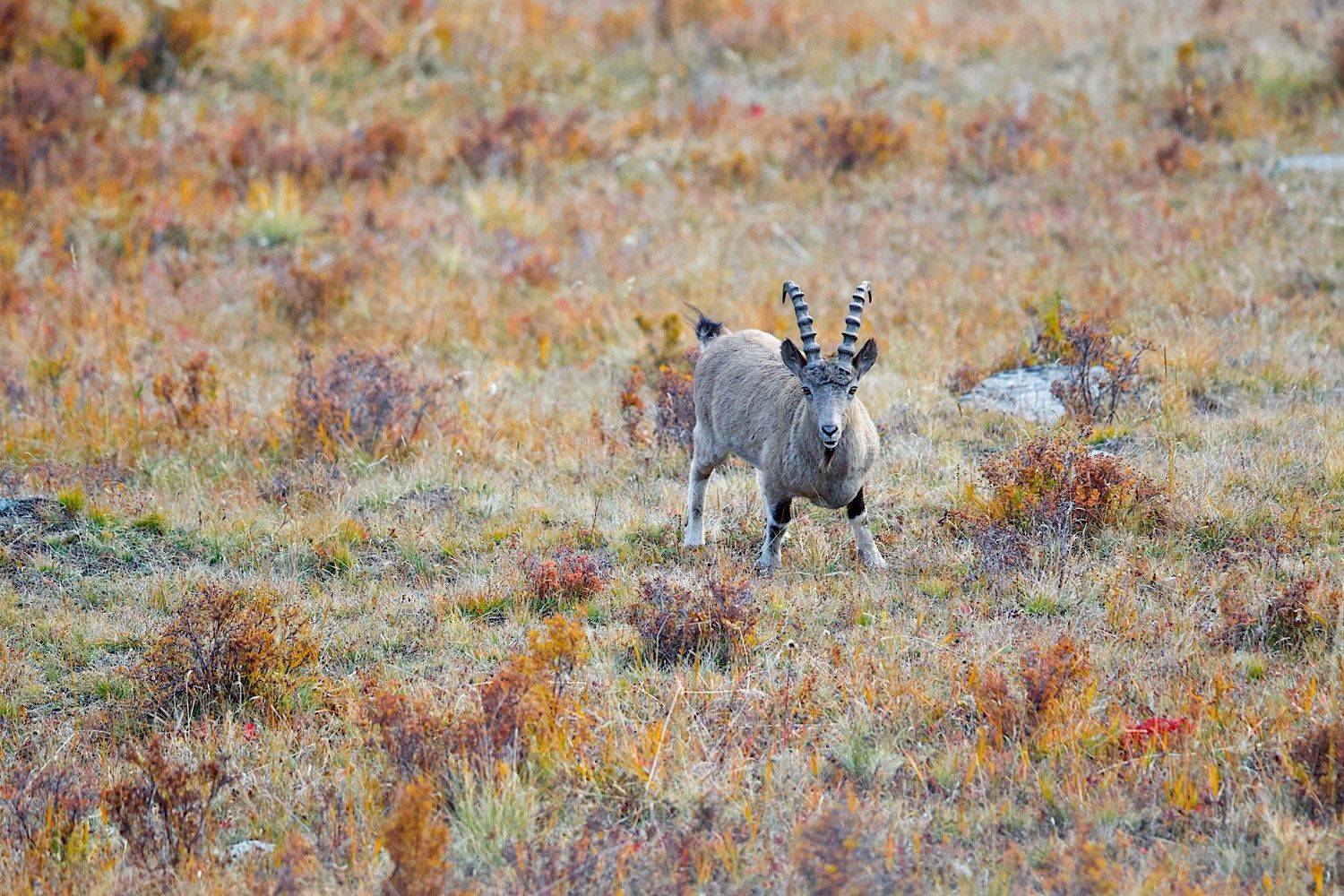 , Мазурин Евгений