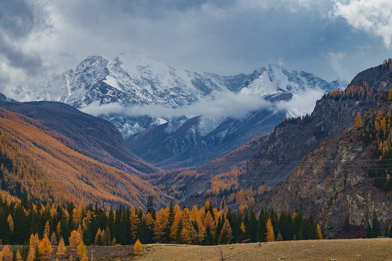 _ фото превью