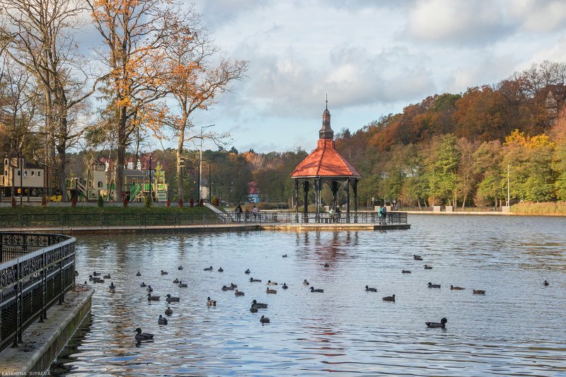 город, осень, городской пезаж, светлогорск Ноябрь в Светлогорске фото превью