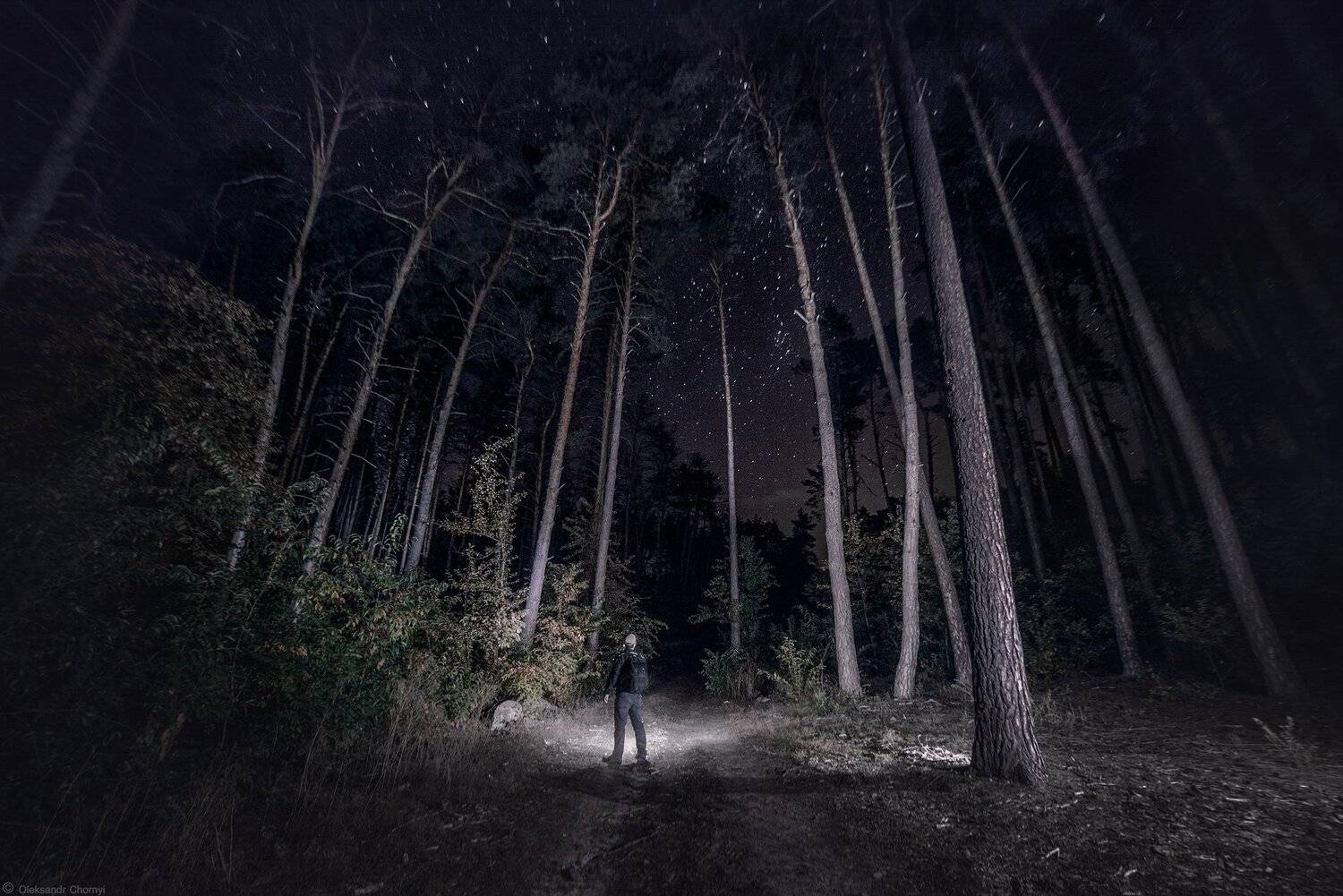 украина, коростышев, природа, лес, полесье, ночь, звезды, путник, странник, путь, жизнь, тишина, осознанность, присутствие, фотограф, чорный,, Александр Чорный
