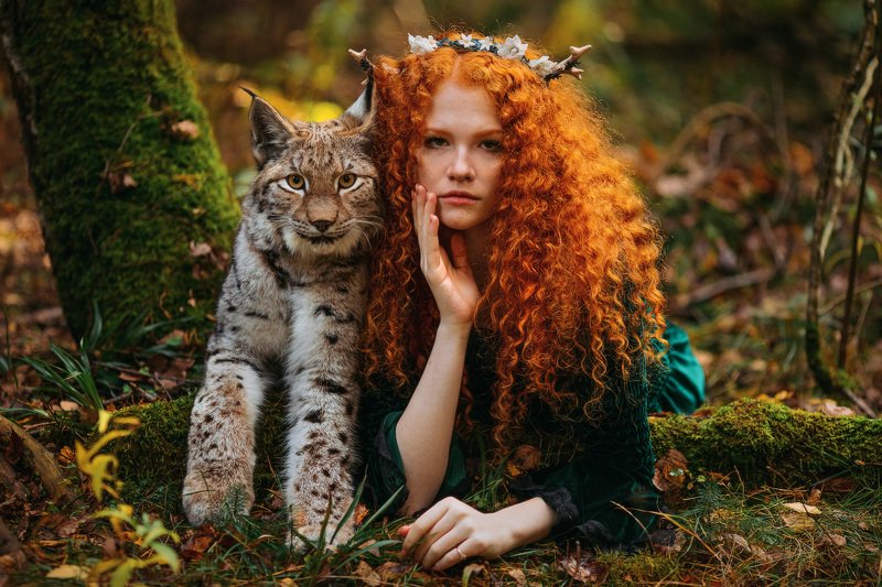 фото превью