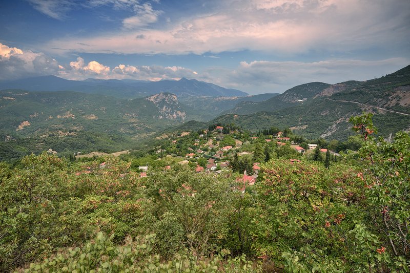 фото превью