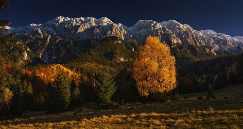 Piatra Craiului Mountain