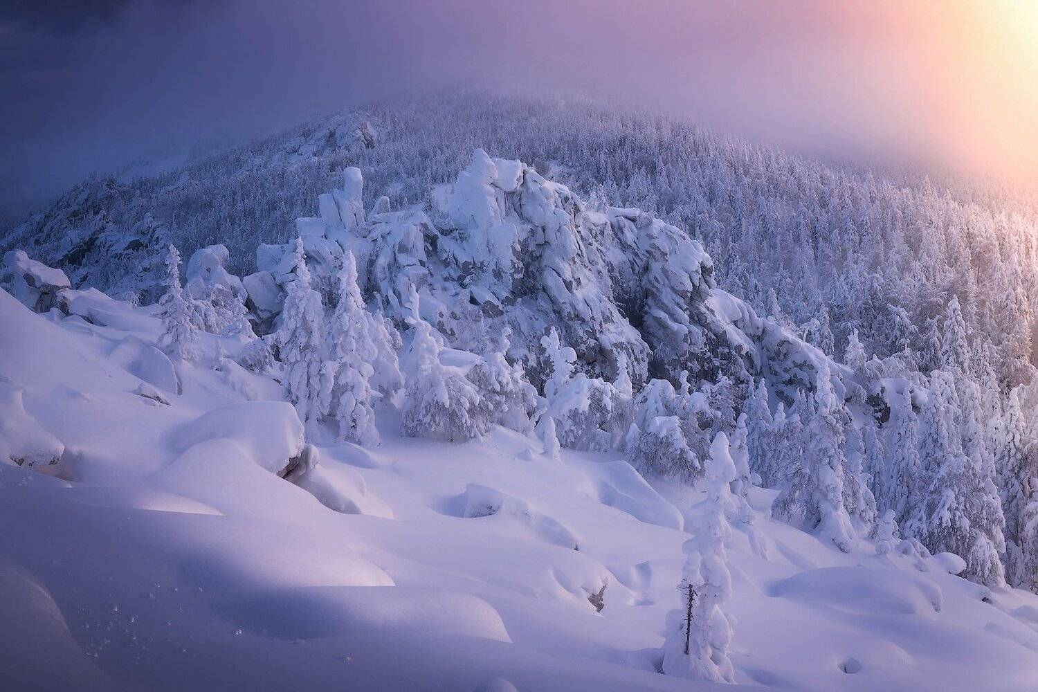 , Владимир Ляпин