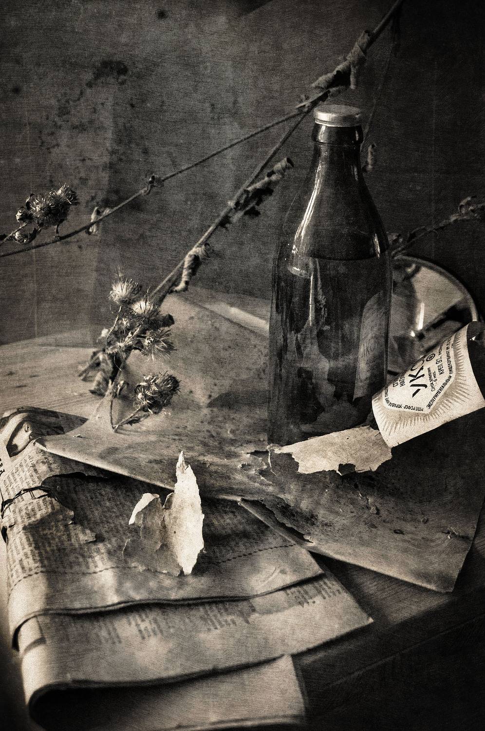 , Ирина Данилова