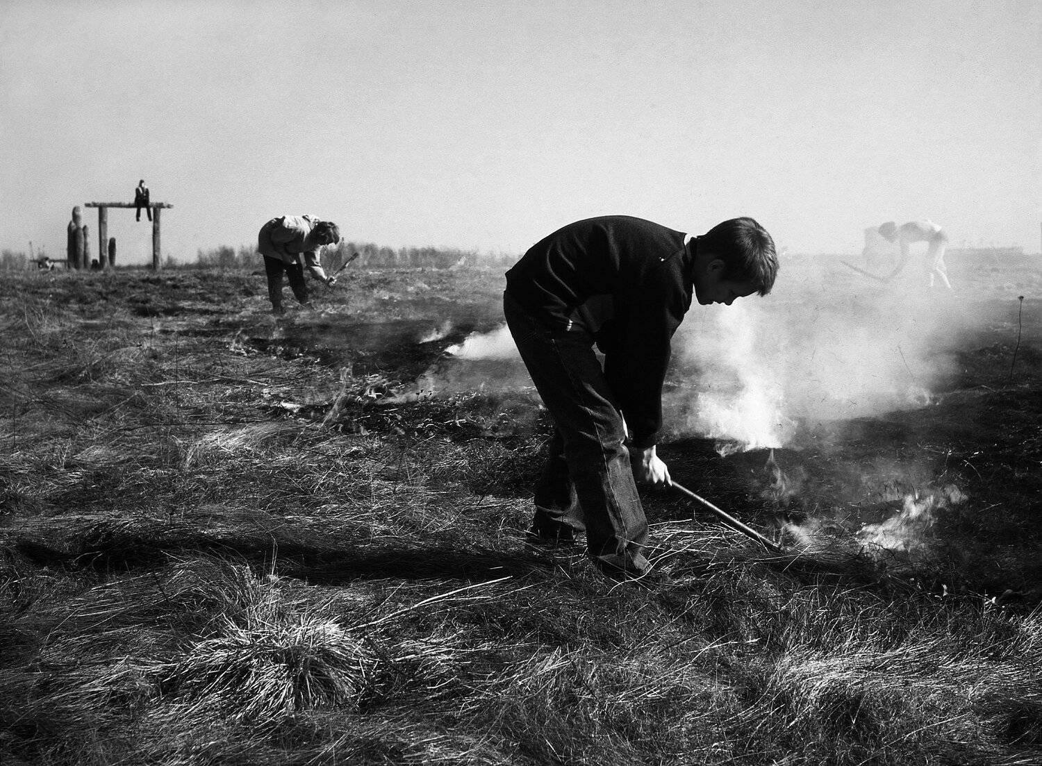 Прошлогодняя трава, пожар, дым, тушить, смотреть, надзирать, плантации, сбить пламя, Дмитрий Ткаченко