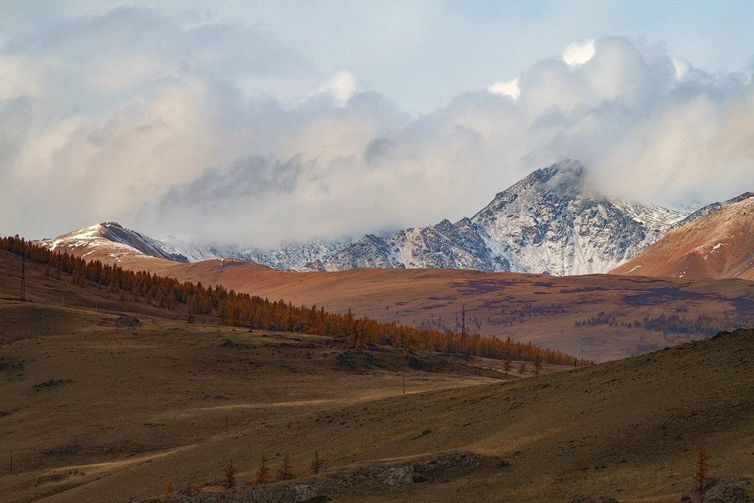 , Олег Логунов