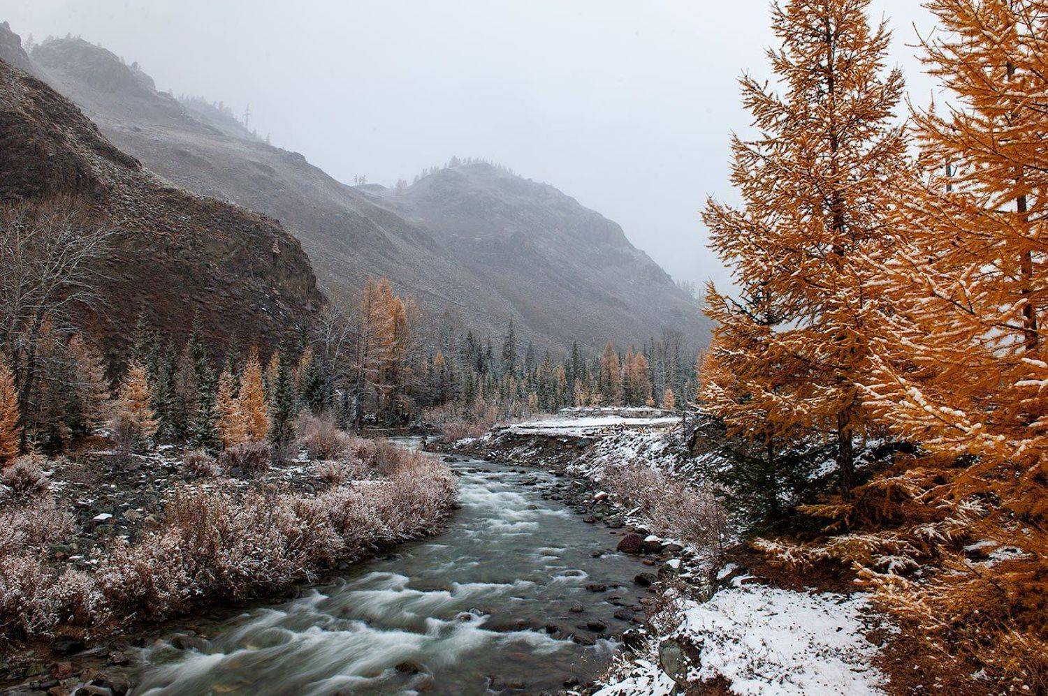 , Олег Логунов