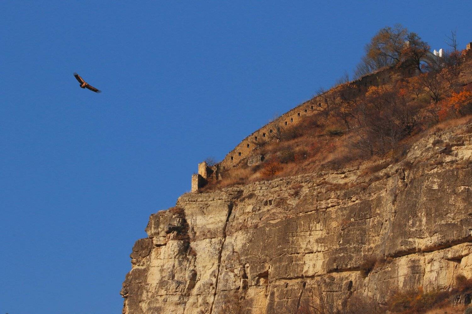 горы,гуниб,гриф,вершины,пейзаж,небо,деревья,дагестан,природа, Marat Magov