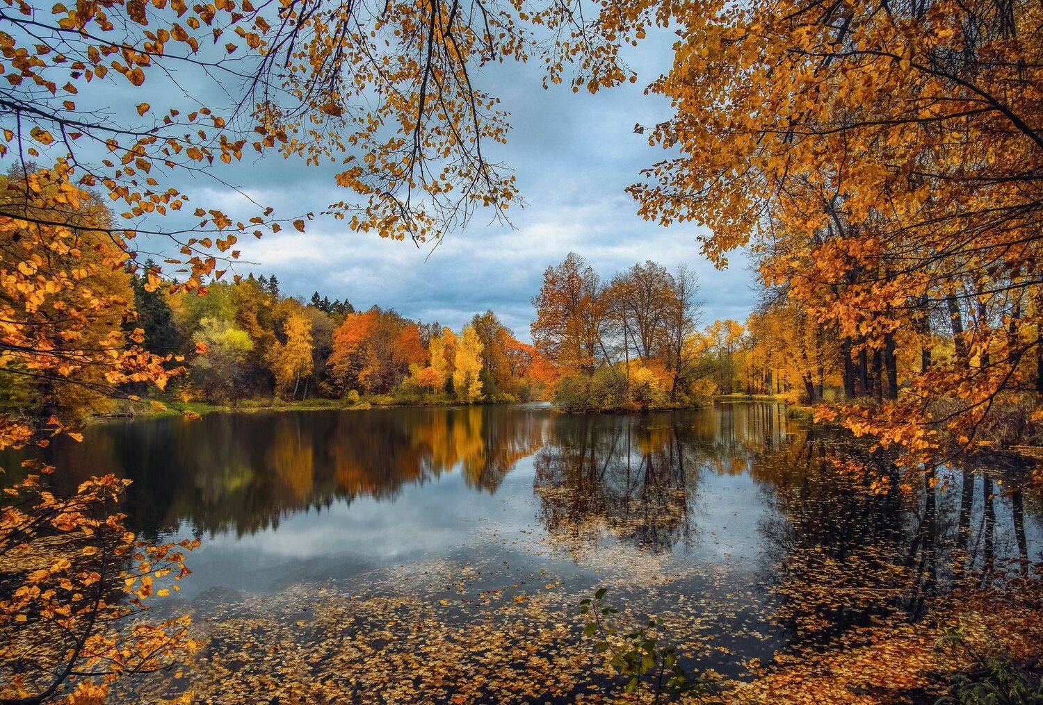 , Екатерина