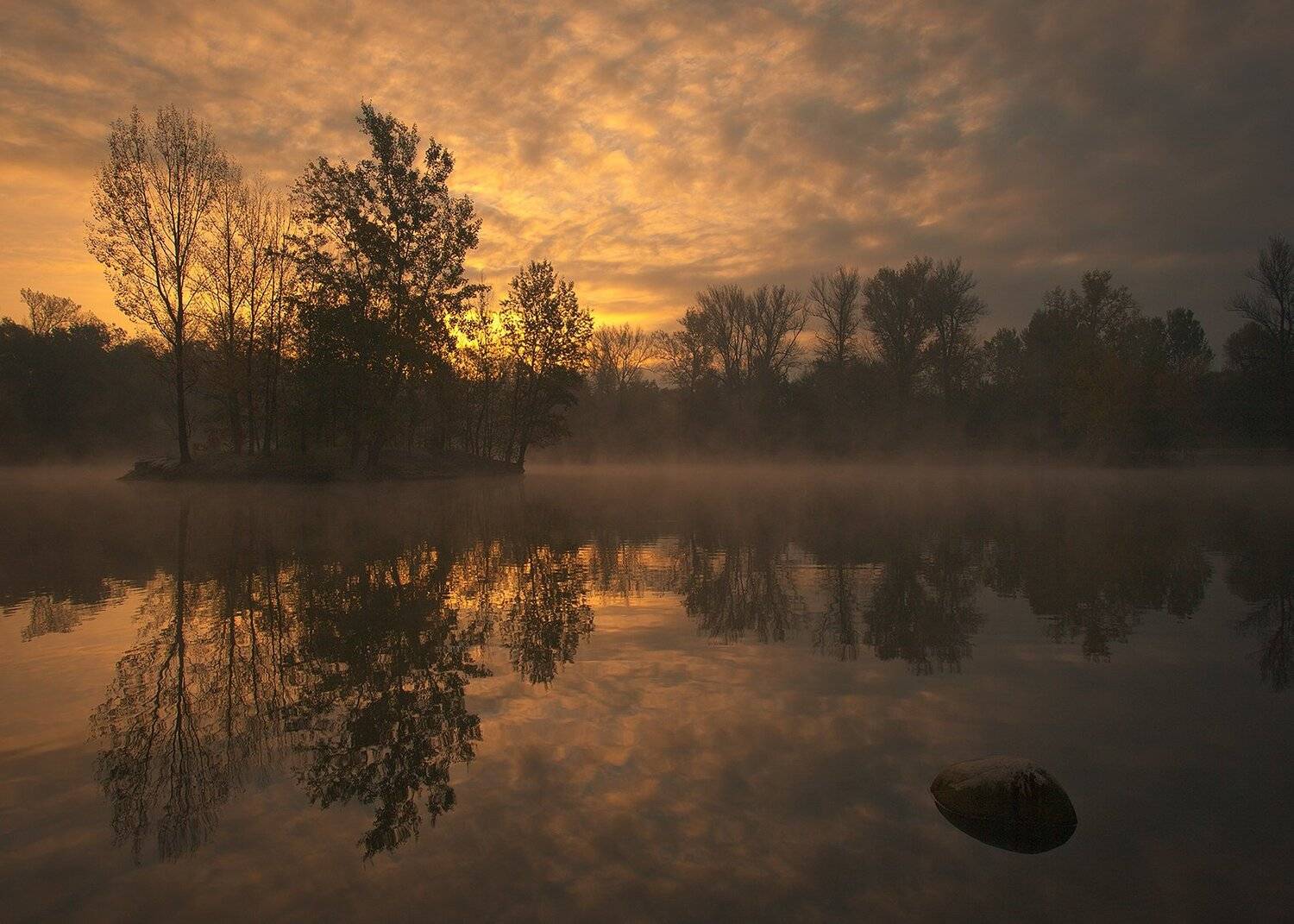 Morning. Автор: Robert Adamec , Robert Adamec