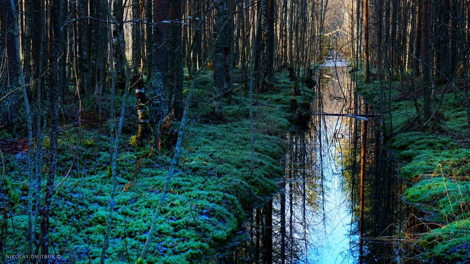 пейзаж, николай дмитрук