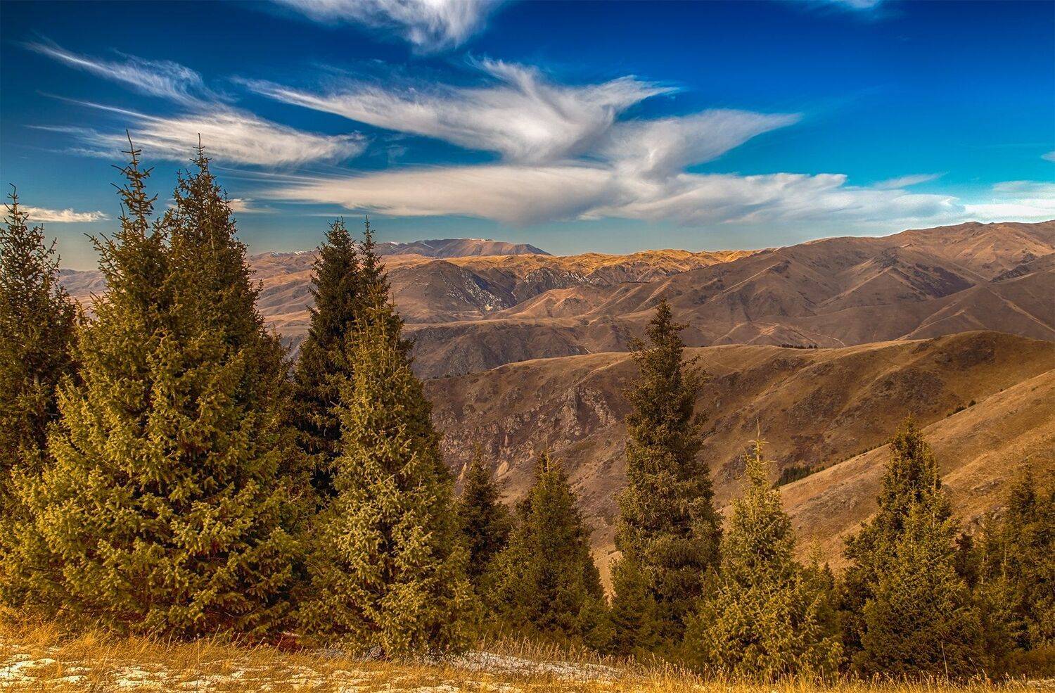 кыргызстан, горы, ак-тюз, Элина Магалимова