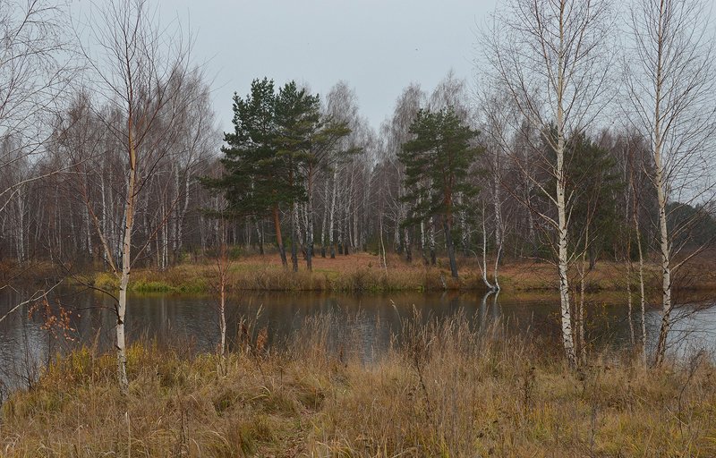 В ожидании первого снега фото превью