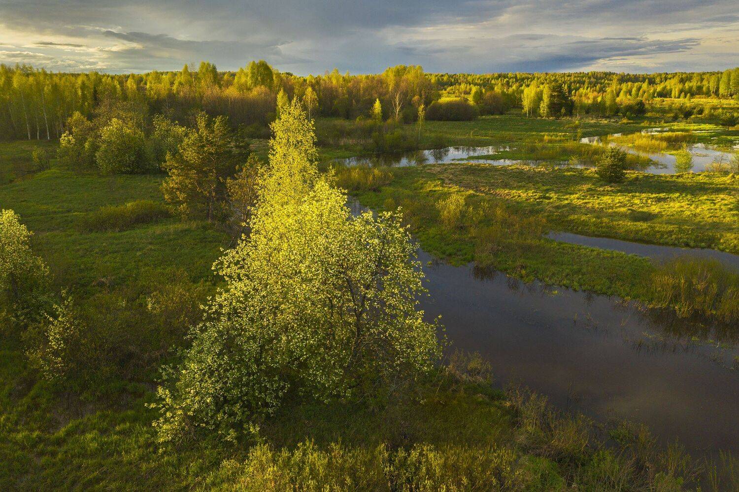 Фототуры с Владимиром Рябковым, деревня, весна, цветение черемух, #topnature #russpasibo #magic_shots #lovelyRussia #sunset_vision #exclusive_sky  #exclusive_shots #loves_russia2 #photoarena_nature #nature_sultans #nature_perfection #rsa_sky #rsa_sunset #, Владимир Рябков