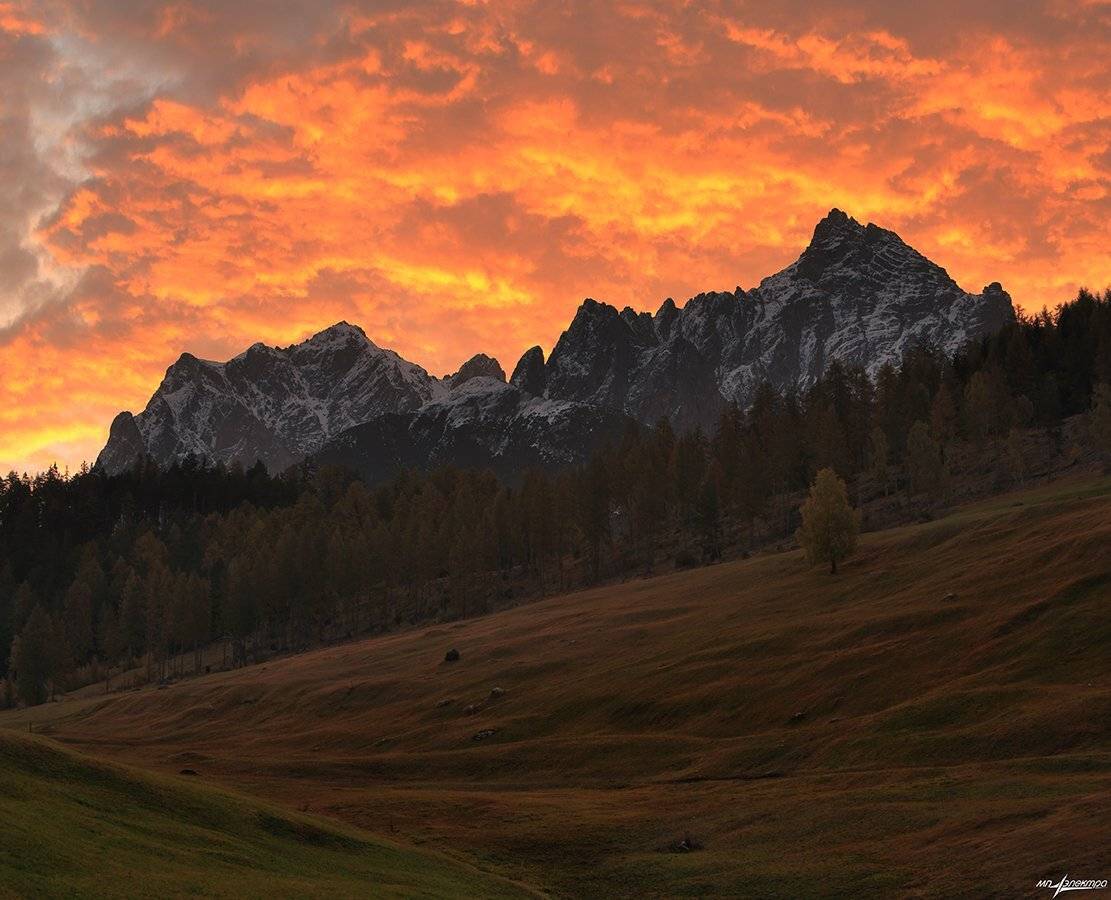 swiss, Матвеев Николай